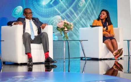 Zimbabwe Minister of ICT, Hon Mavetera answers questions on ICT & AI